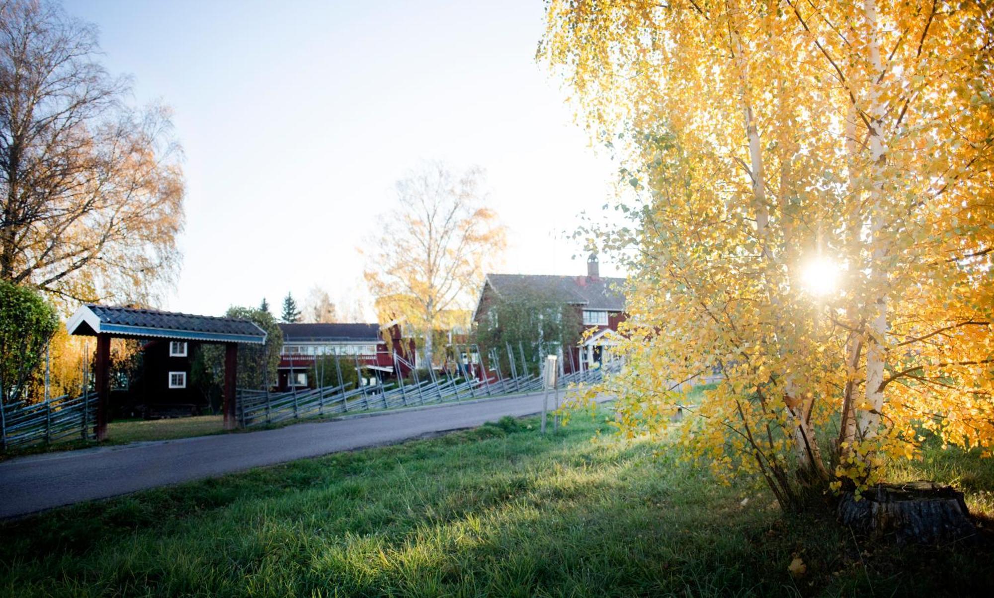 Akerblads Hotell Gaestgiveri Spa Tällberg Kültér fotó